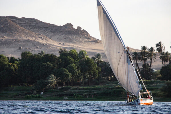 Felucca_IMG_2252