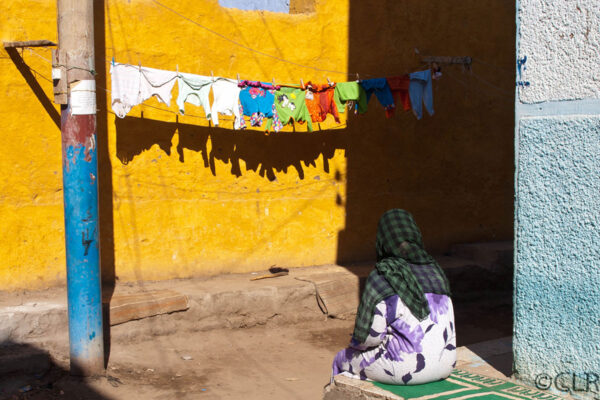 Service_Elephantine-laundry_Claude-LeRoux_1200x800