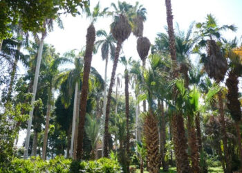 03_BotanicalGarden_Linda