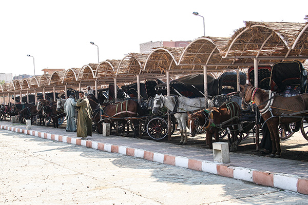 Carriages waiting in Edfu