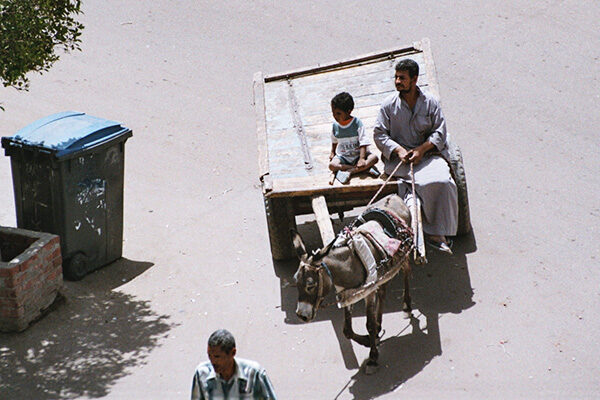 Donkey-carriage_026_27