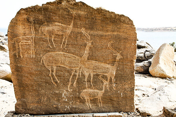 Kalabsha_Antilopes_1116
